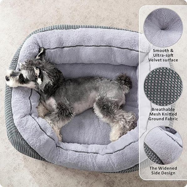 Dog Beds